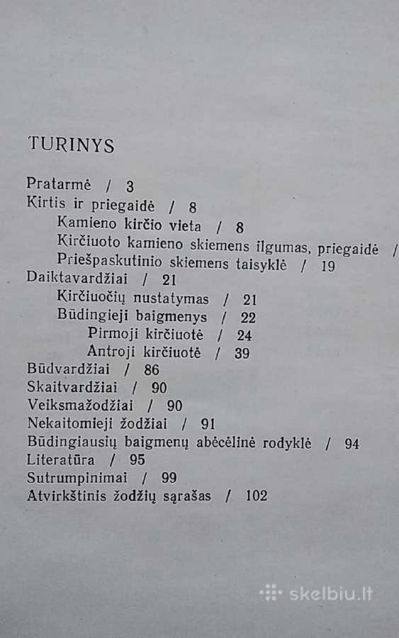 Tarptautinių žodžių kirčiavimas - nuotraukos Nr. 2