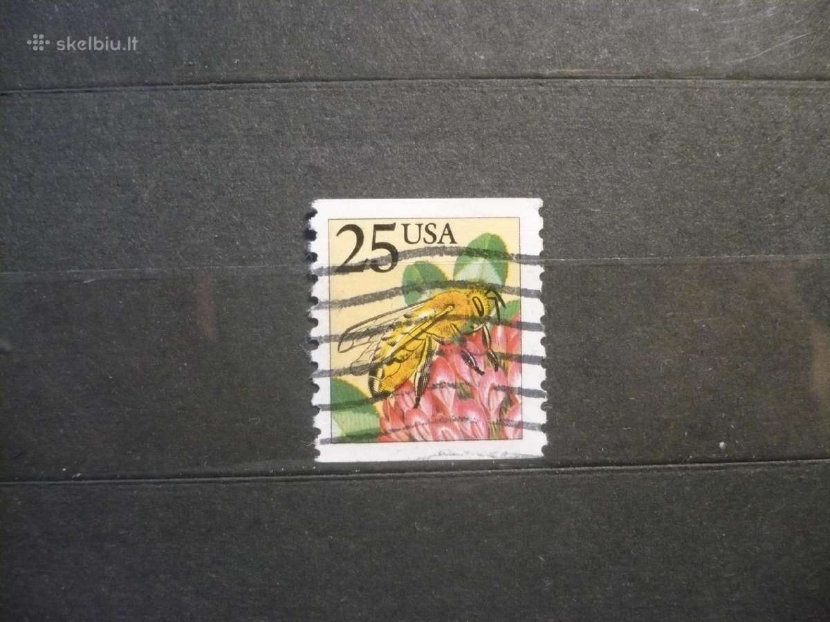 1988 m. Vabzdžiai – bitė