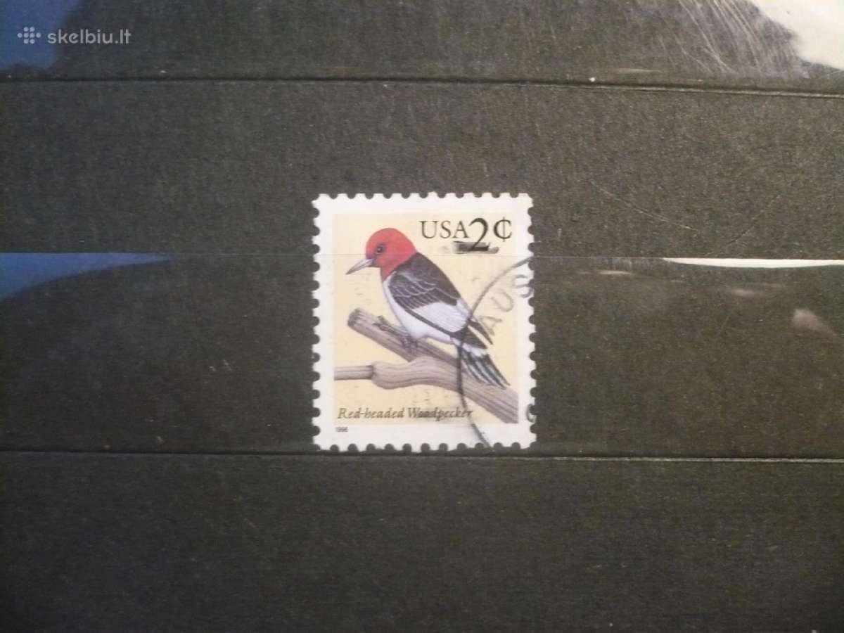 1996 m. Paukščiai – raudongalvis genys