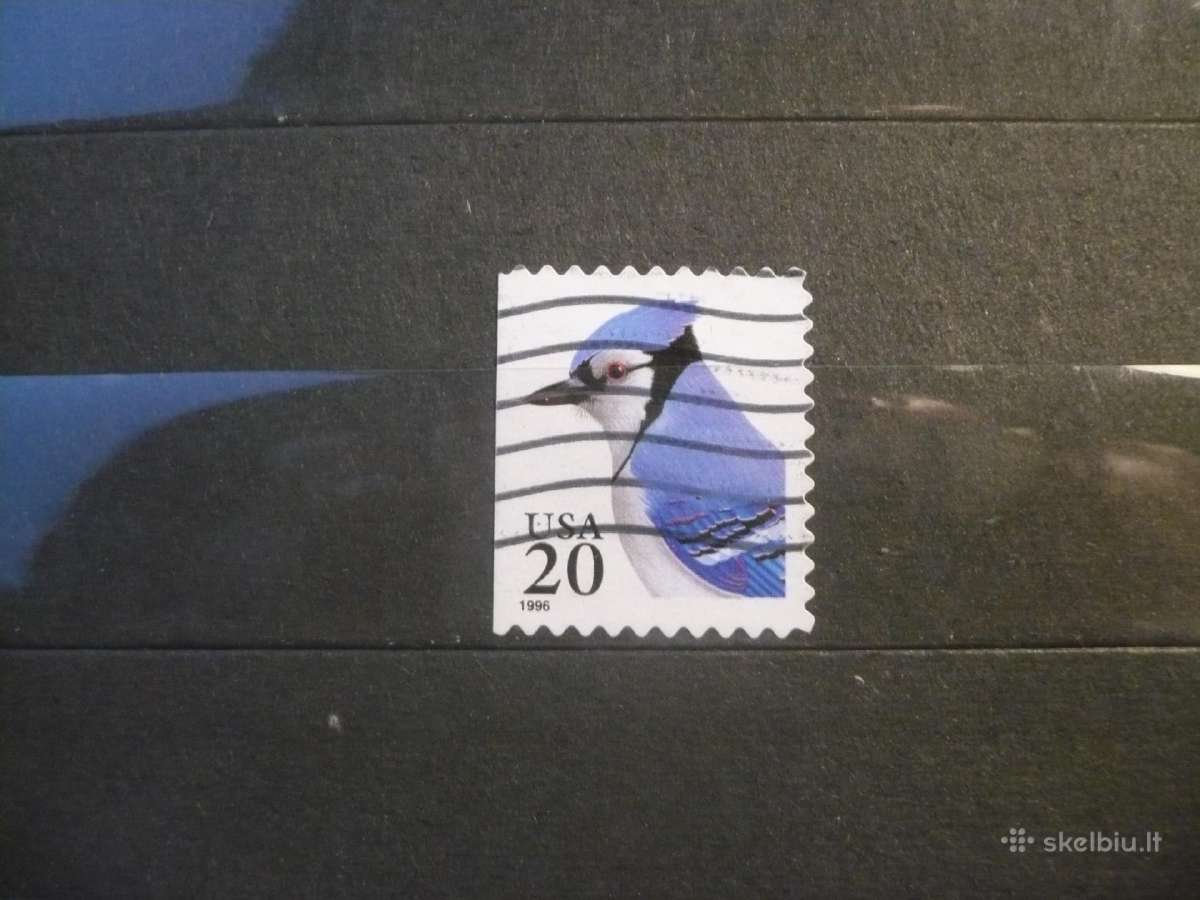 1995 m. paukščiai – mėlynasis spindulys