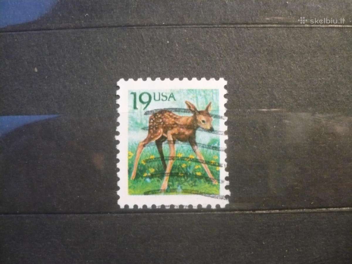 1991 m. gyvūnai – Europos stirnos