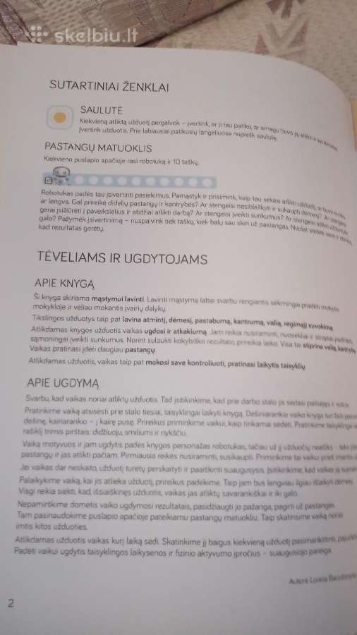 Mastymo lavinimas - nuotraukos Nr. 3