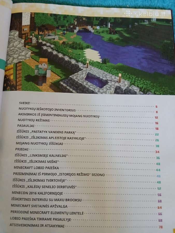 Minecraft metų knyga - nuotraukos Nr. 4