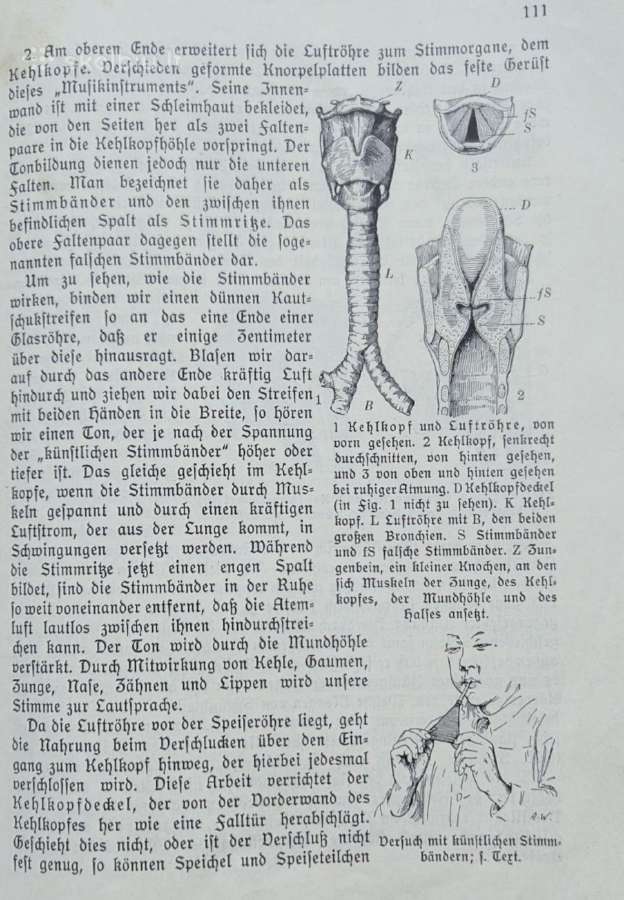 Antikvatinė knyga - nuotraukos Nr. 5