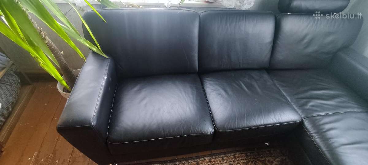 Natūralios odos sofa