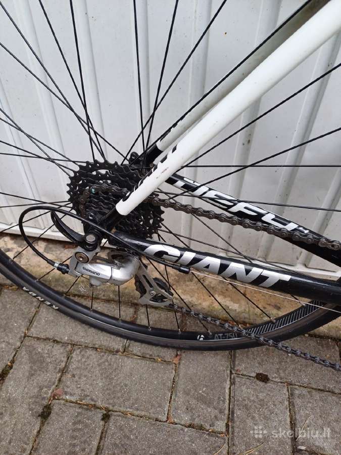 Giant Defy 4 - nuotraukos Nr. 4