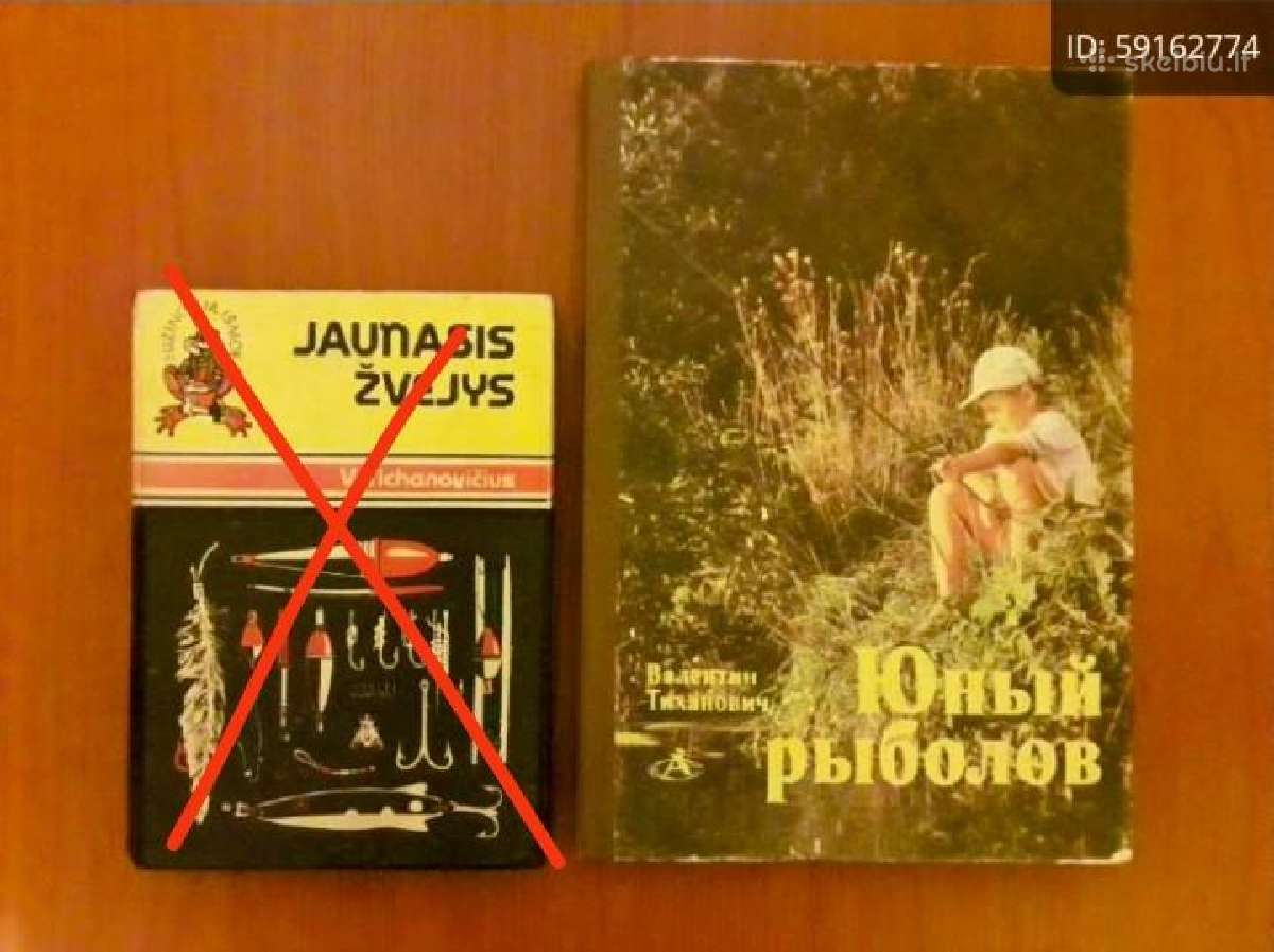 V. Tichanovič " Junyj rybolov"
