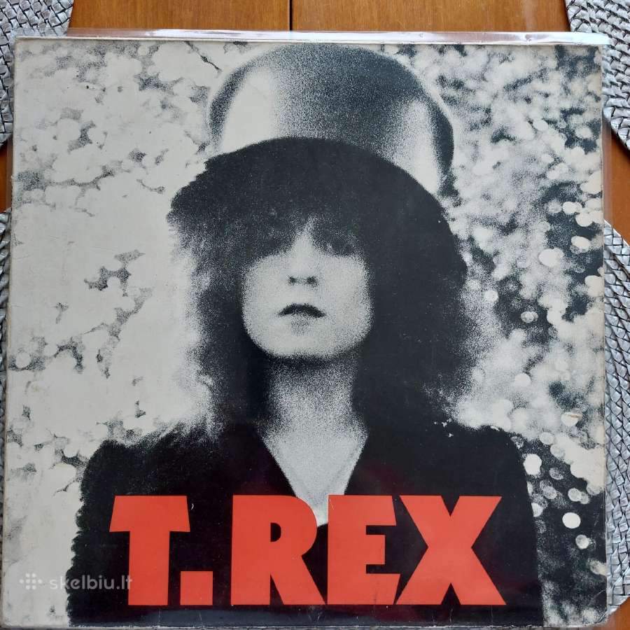 Vinilinės Plokštelės - nuotraukos Nr. 13