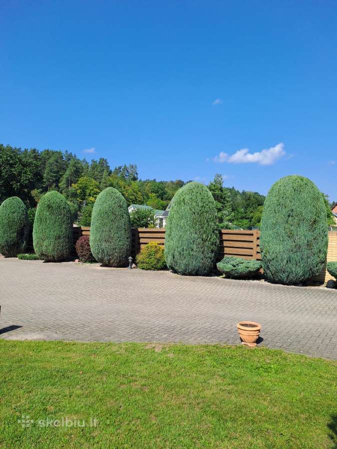 Gyvatvorių karpymas, žeminimas, formavimas - nuotraukos Nr. 21