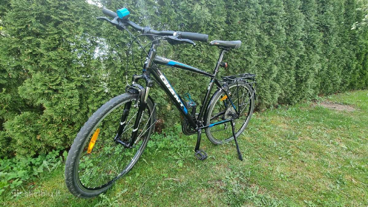 Hibridinis Giant Roam 3