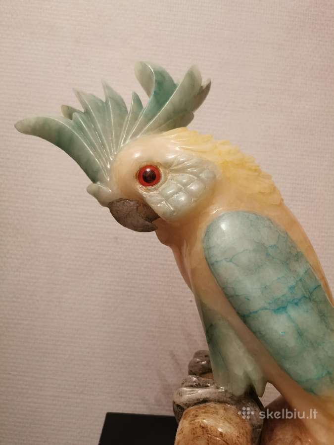 Papūga