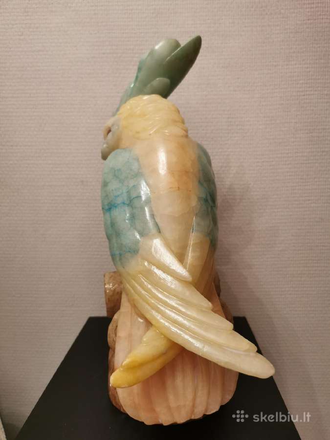 Papūga - nuotraukos Nr. 2