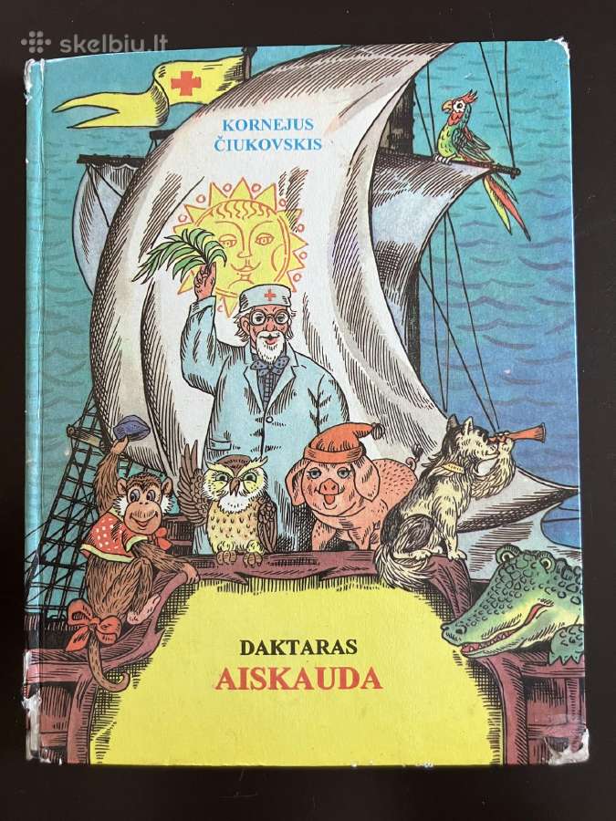 Knyga Daktaras Aiskauda