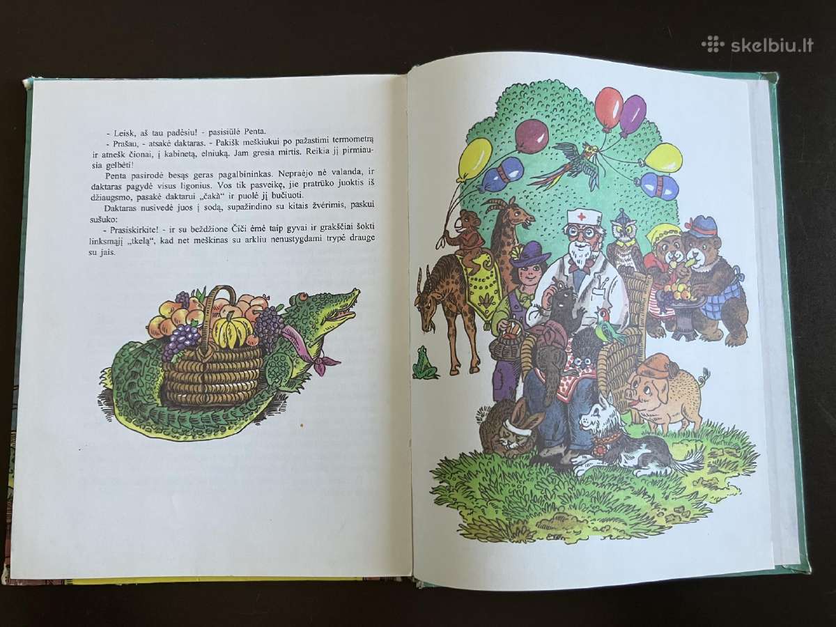 Knyga Daktaras Aiskauda - nuotraukos Nr. 2