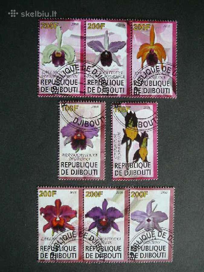 Orchidejos Dzibutis 2010 antsp. s686c