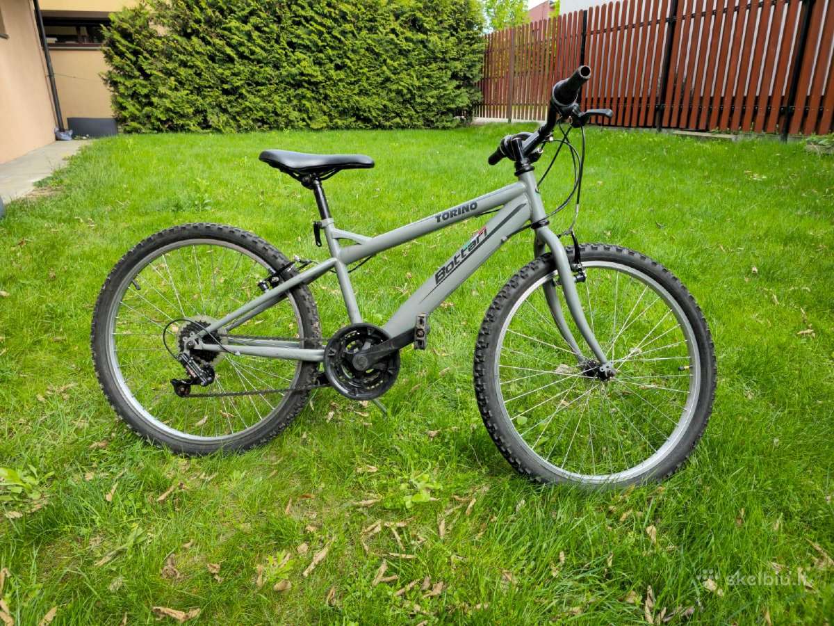 Torino Bottari 24"