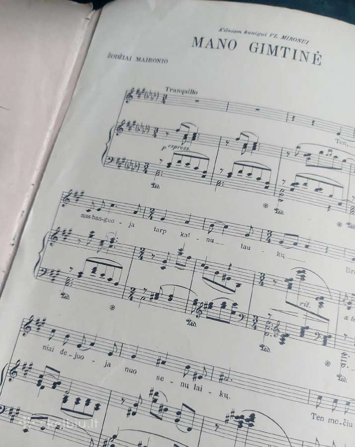 S.šimkus ,Dainos" su autoriaus parašu - nuotraukos Nr. 3