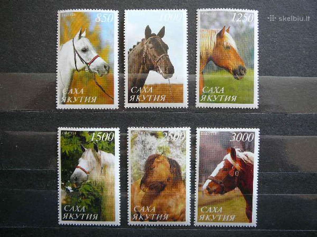 Arkliai Jakutija (R) 2001 svarus kt88