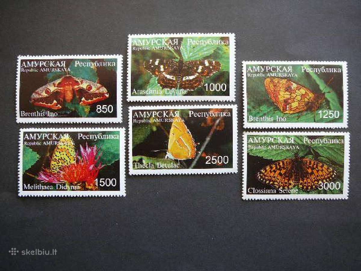 Drugeliai Amuras (R) 2001 svarus amr89