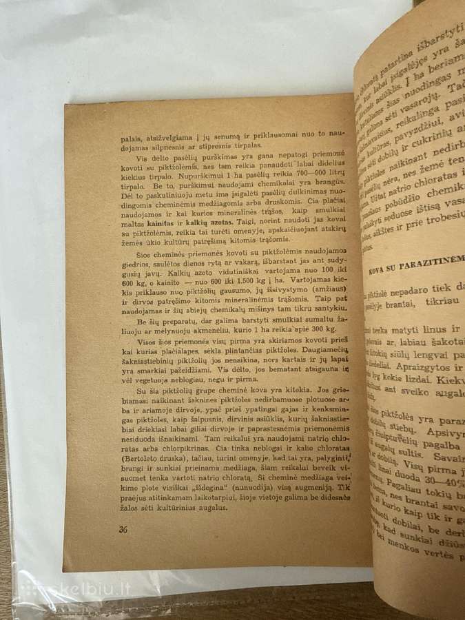 Kova su piktžolėmis 1947 m. - nuotraukos Nr. 6