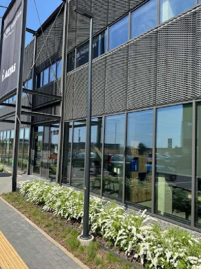 Akcija gatvės kiemo švietuvai Intellight