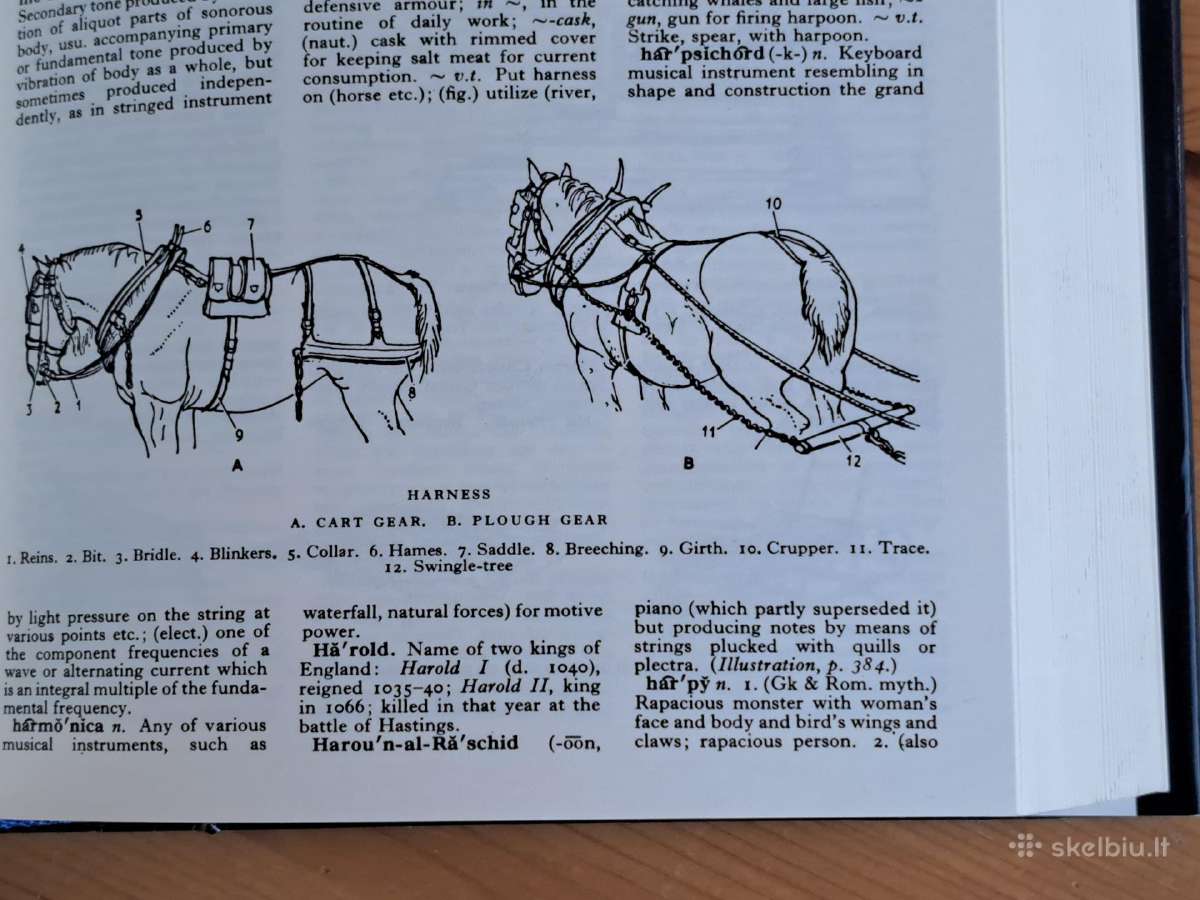 The English Illustrated Dictionary - nuotraukos Nr. 8