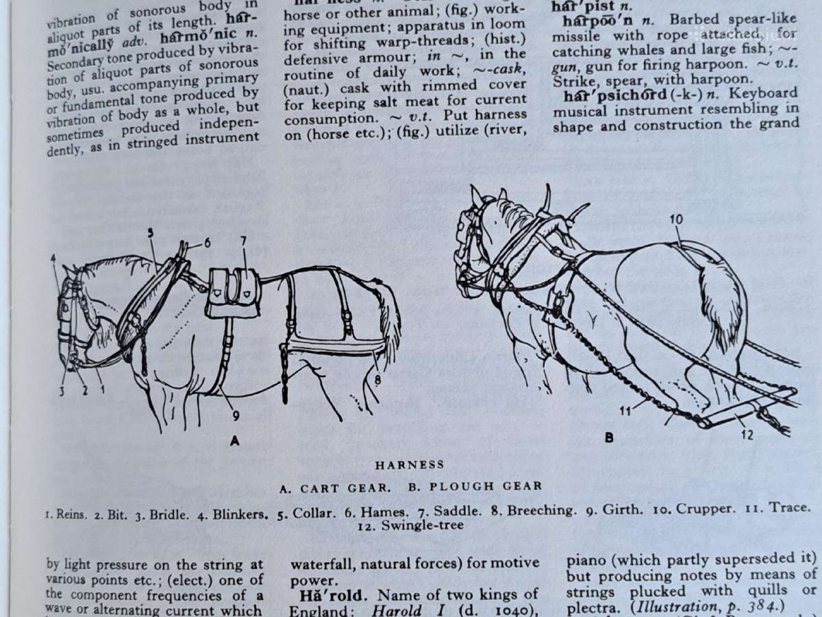 The English Illustrated Dictionary - nuotraukos Nr. 9