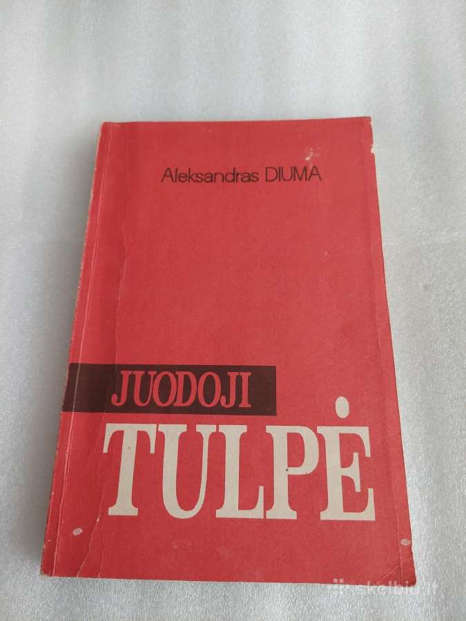 Juodoji tulpė