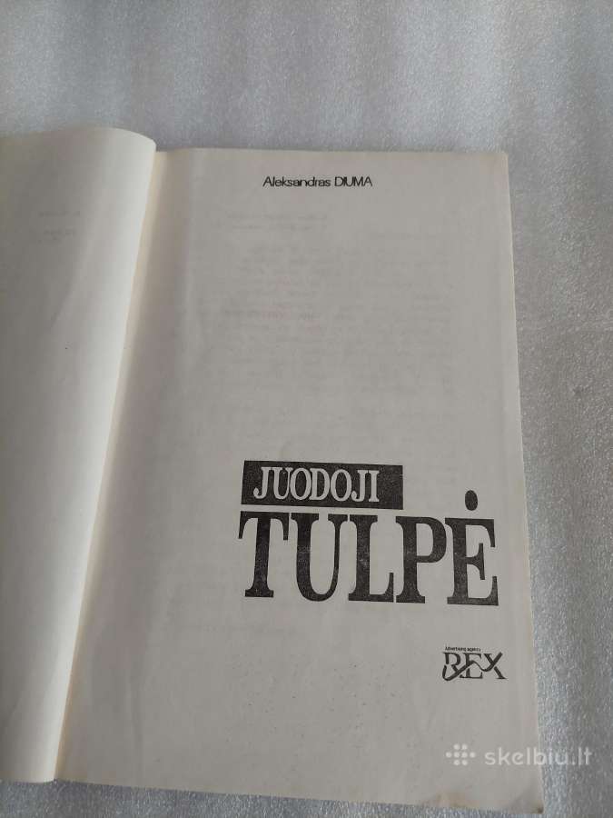 Juodoji tulpė - nuotraukos Nr. 2