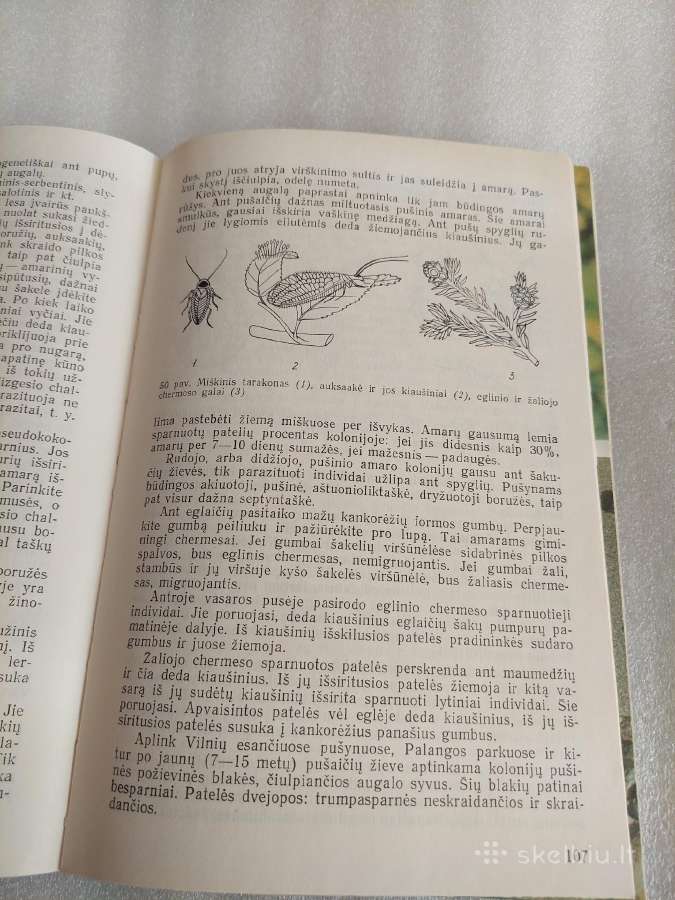 Biologo vadovas - nuotraukos Nr. 4