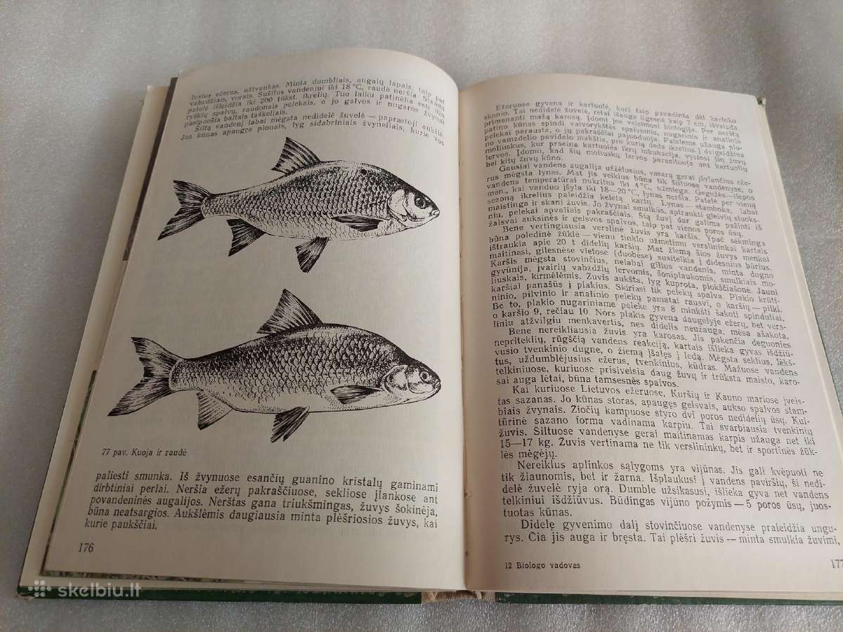 Biologo vadovas - nuotraukos Nr. 5