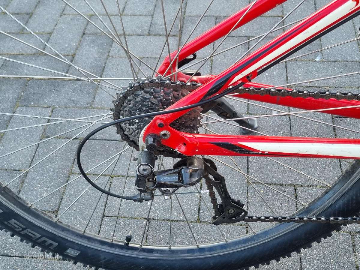 Specialized dviratis - nuotraukos Nr. 3