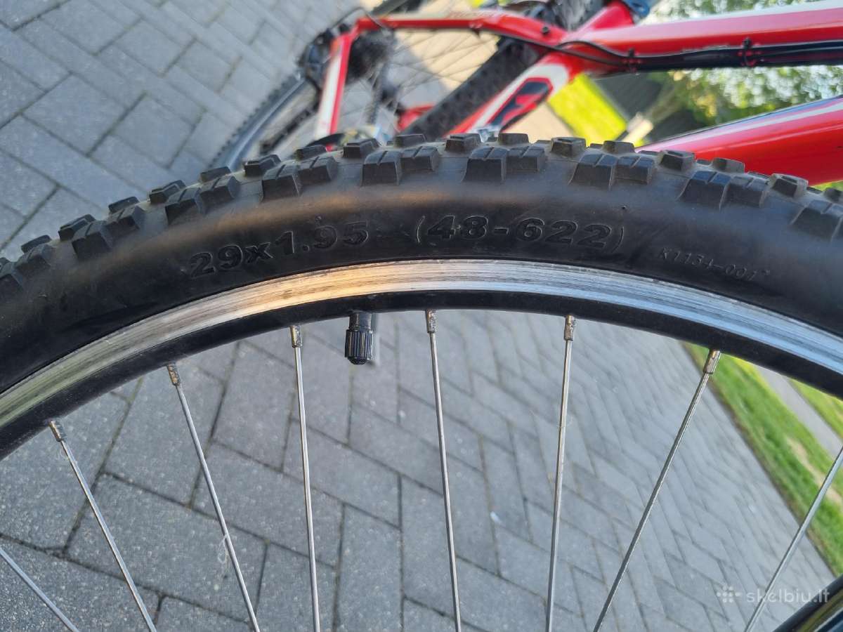 Specialized dviratis - nuotraukos Nr. 4