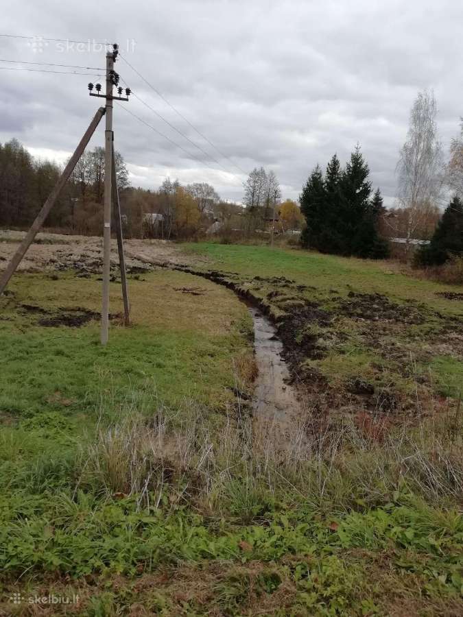1 h namų valdos sklypas su tvenkiniu miško apsuptį - nuotraukos Nr. 3