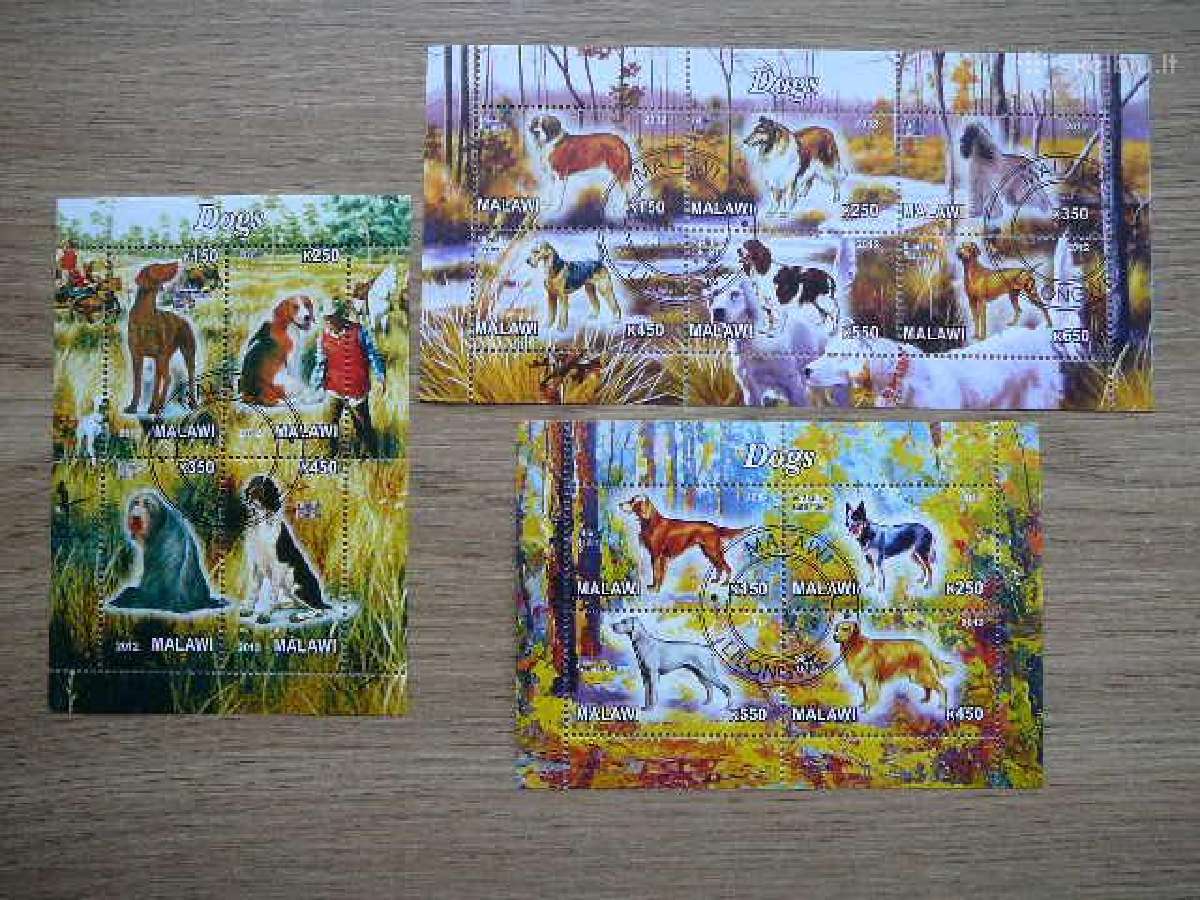 Sunys Malavis 2012 antsp. g583/5