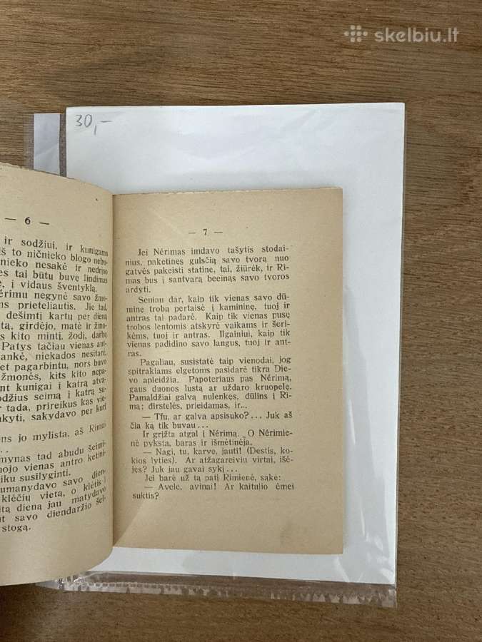 Rimai ir nerimai. Ponas direktorius 1933 m. - nuotraukos Nr. 3
