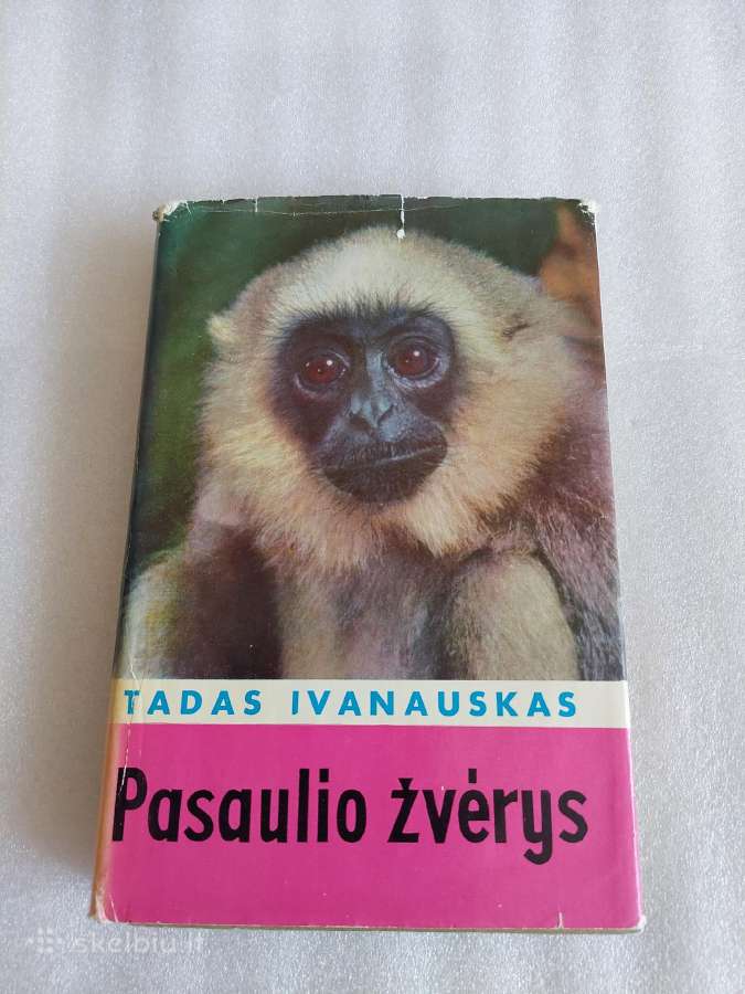 Pasaulio žvėrys