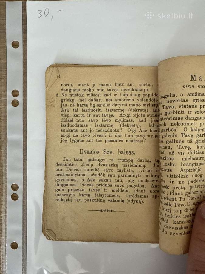 Grieszninkas priverstas metavoties 1905 m. - nuotraukos Nr. 6