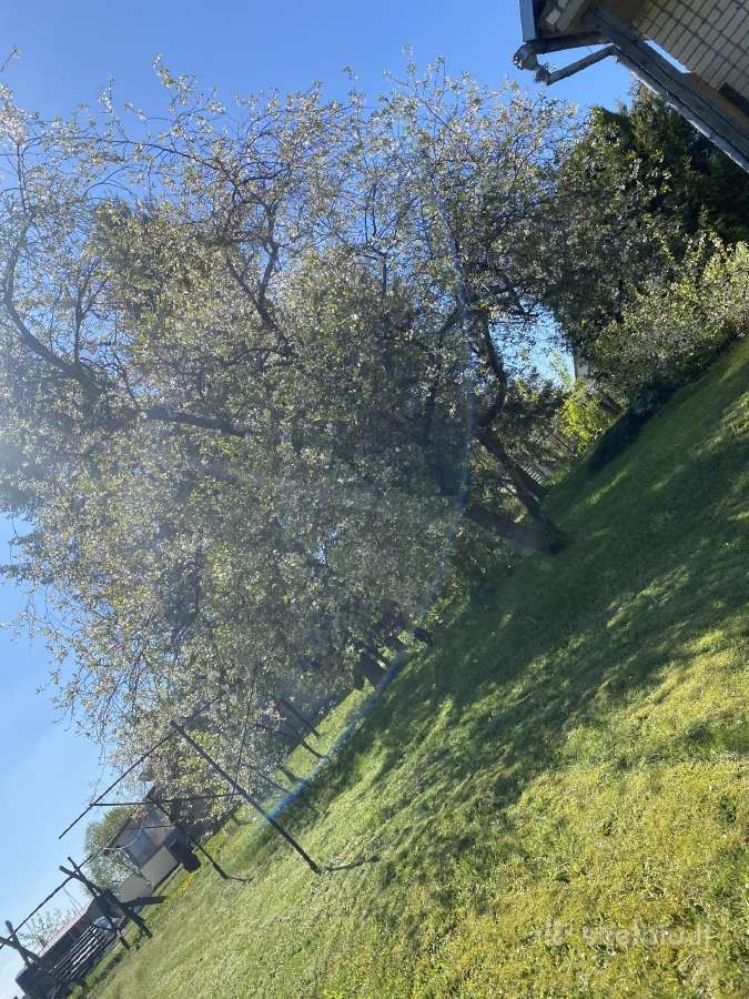Parduodama sodyba Raseinių rajone - nuotraukos Nr. 20