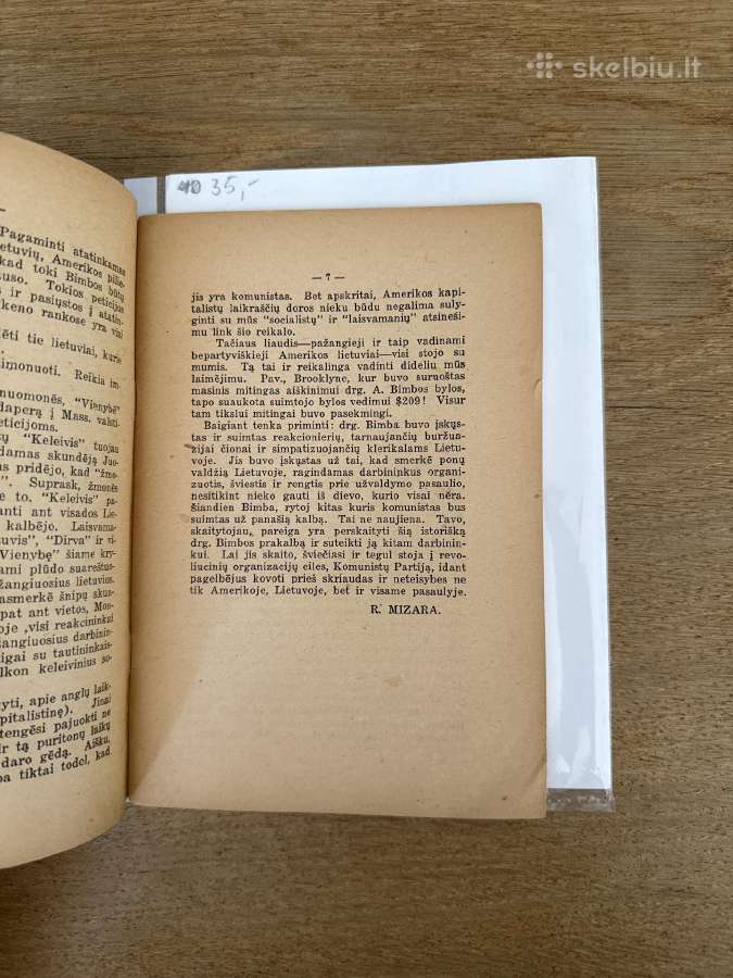 Lietuvos Respublika ir jos ateitis 1926 m. - nuotraukos Nr. 3