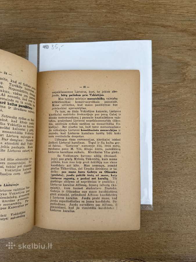 Lietuvos Respublika ir jos ateitis 1926 m. - nuotraukos Nr. 5