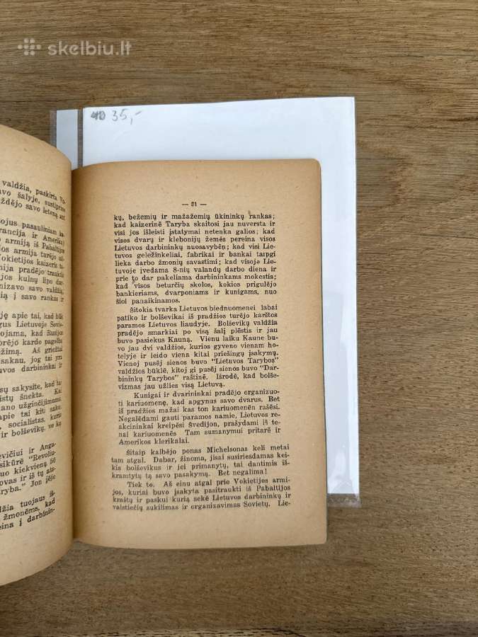 Lietuvos Respublika ir jos ateitis 1926 m. - nuotraukos Nr. 6