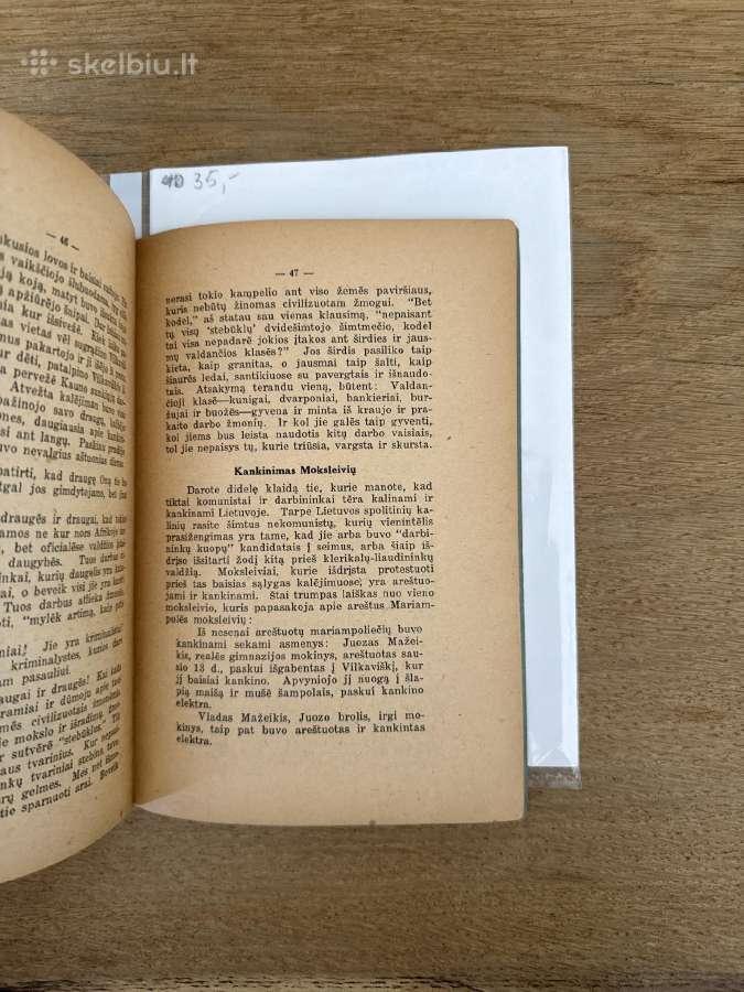 Lietuvos Respublika ir jos ateitis 1926 m. - nuotraukos Nr. 7