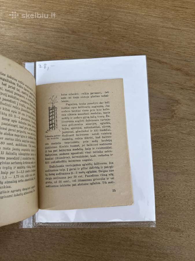 Sodinkime medelius 1933 m - nuotraukos Nr. 5