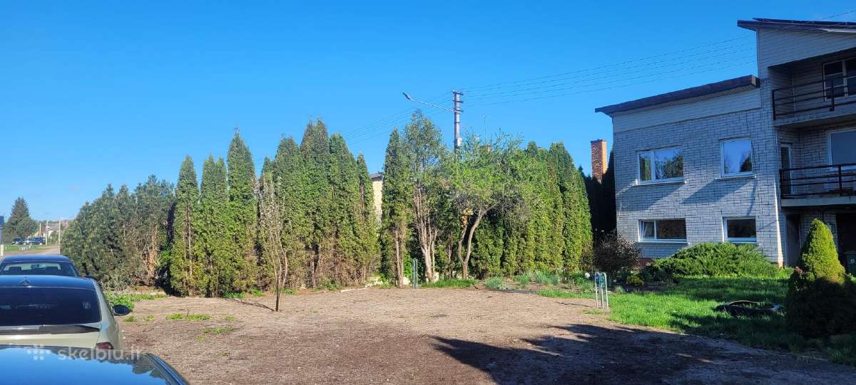 Tujų kirpimas,žeminimas,formavimas.genėjimas. - nuotraukos Nr. 28