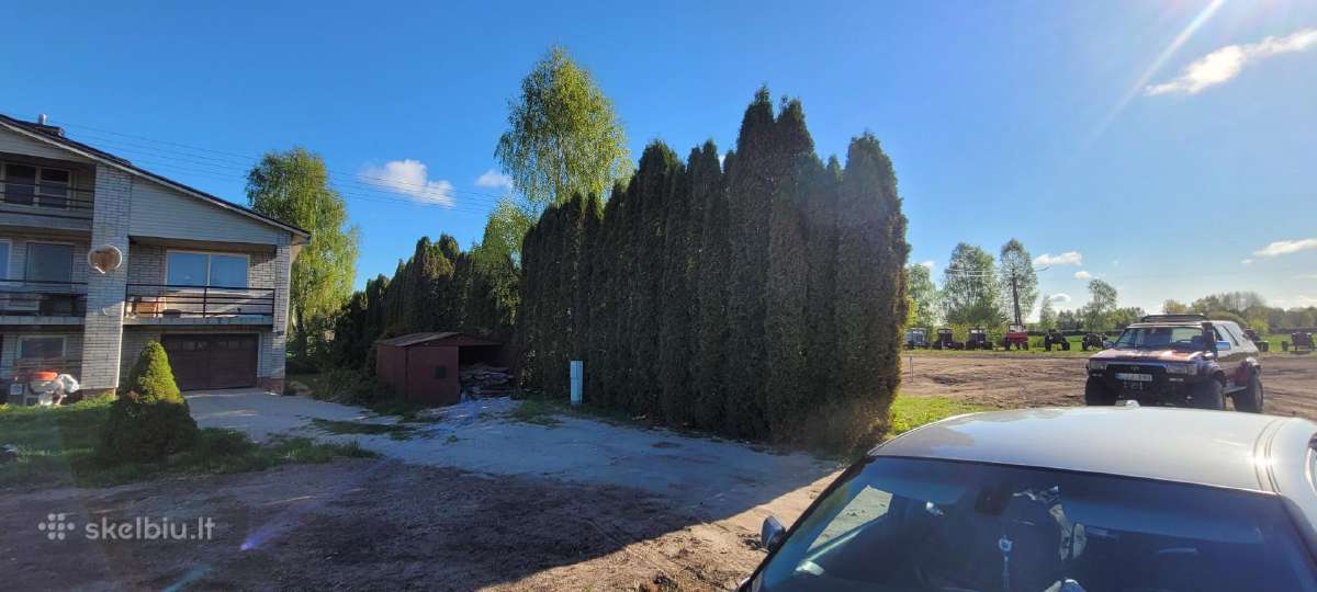 Tujų kirpimas,žeminimas,formavimas.genėjimas. - nuotraukos Nr. 29