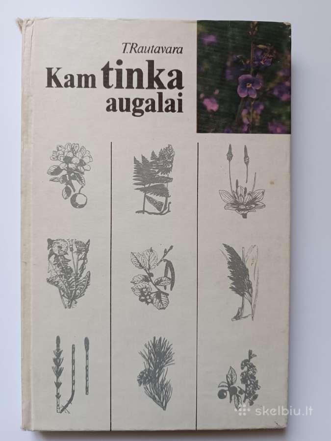 T. Rautavara. Kam tinka augalai