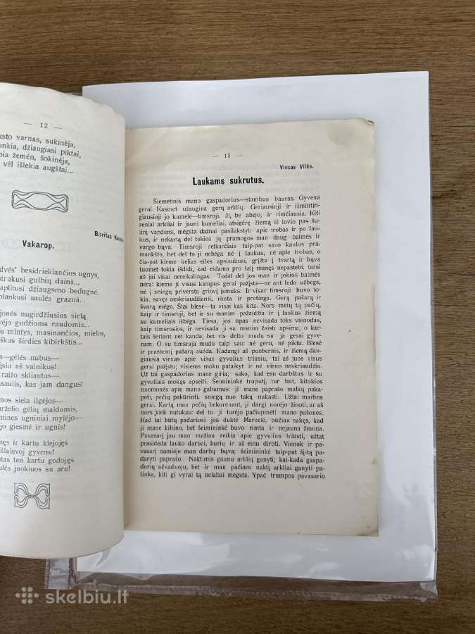 Aušrinės keliais 1915 m. - nuotraukos Nr. 5