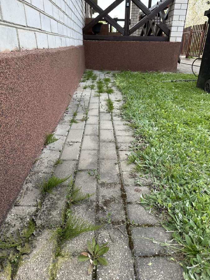 Trinkelių plovimas - nuotraukos Nr. 15