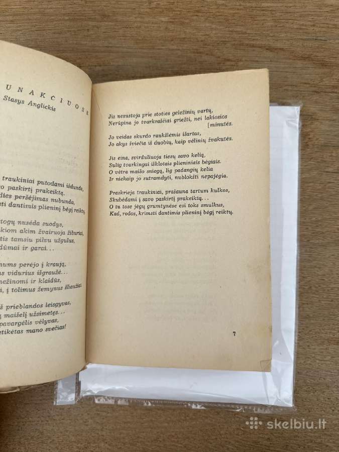 Prošvaistė. Iv knyga. Literatrinių raštų rinkinys - nuotraukos Nr. 3